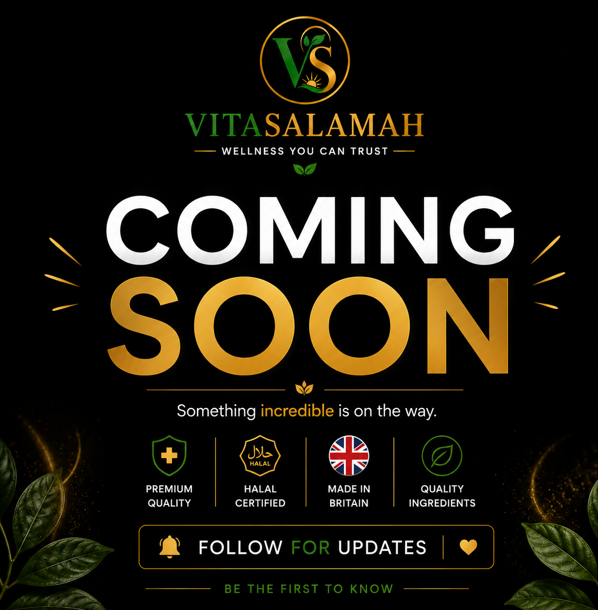 VitaSalamah Vitamin D3, K2 & C – 120 Vegetarian Capsules