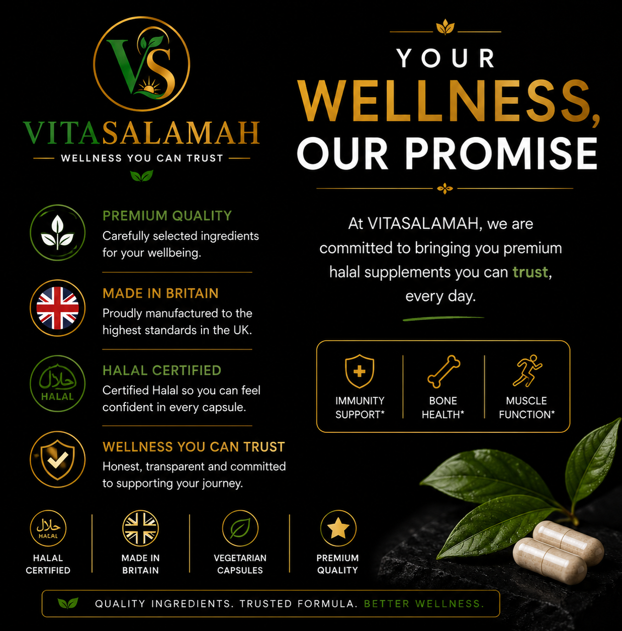 VitaSalamah Vitamin D3, K2 & C – 120 Vegetarian Capsules