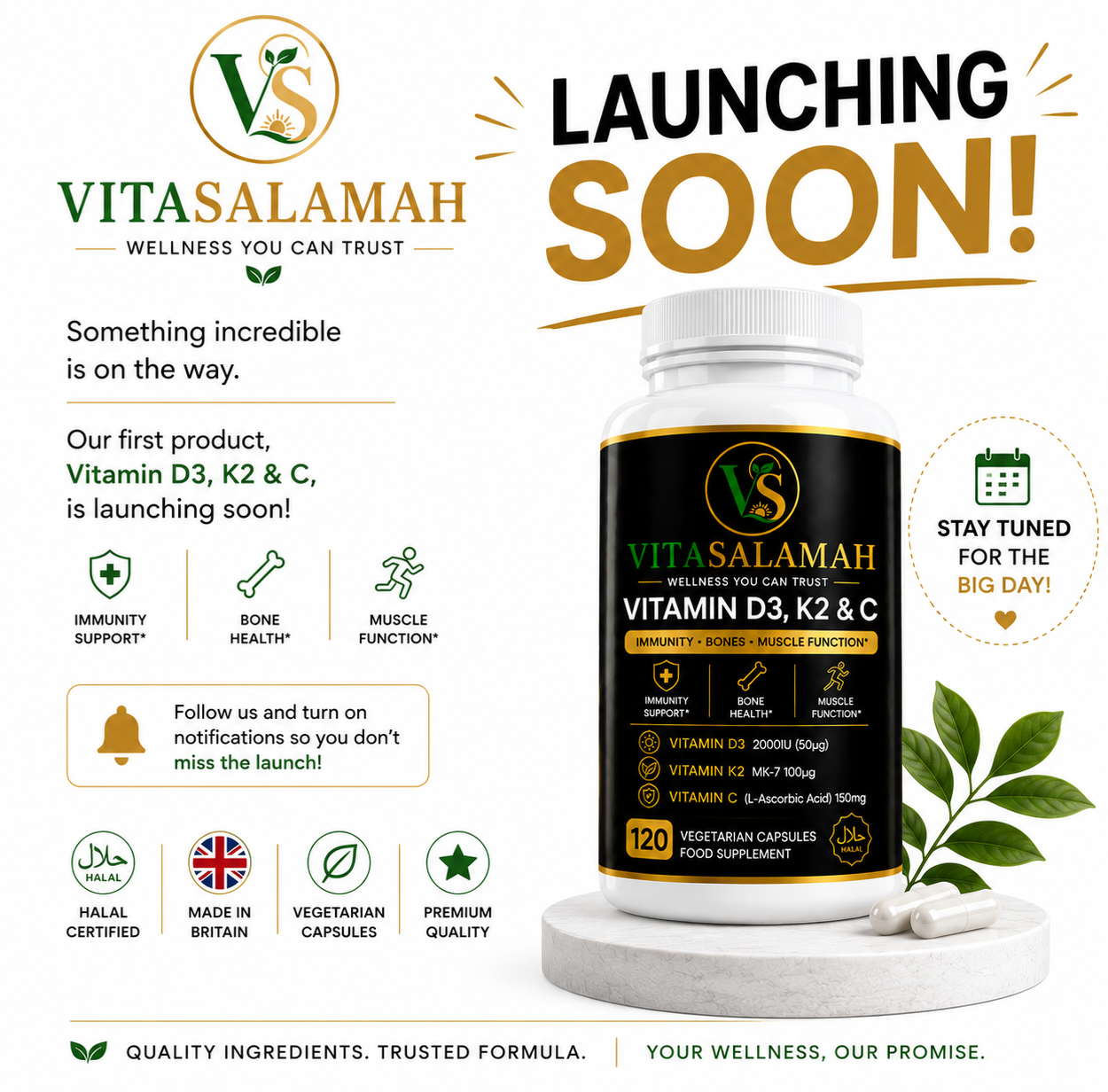 VitaSalamah Vitamin D3, K2 & C – 120 Vegetarian Capsules