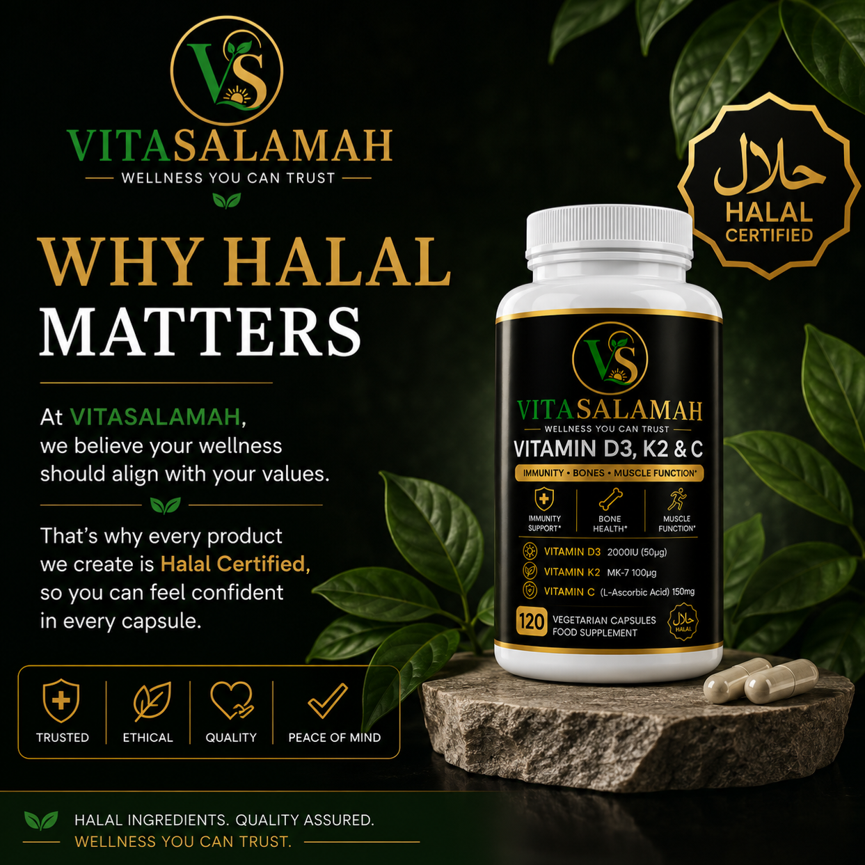 VitaSalamah Vitamin D3, K2 & C – 120 Vegetarian Capsules