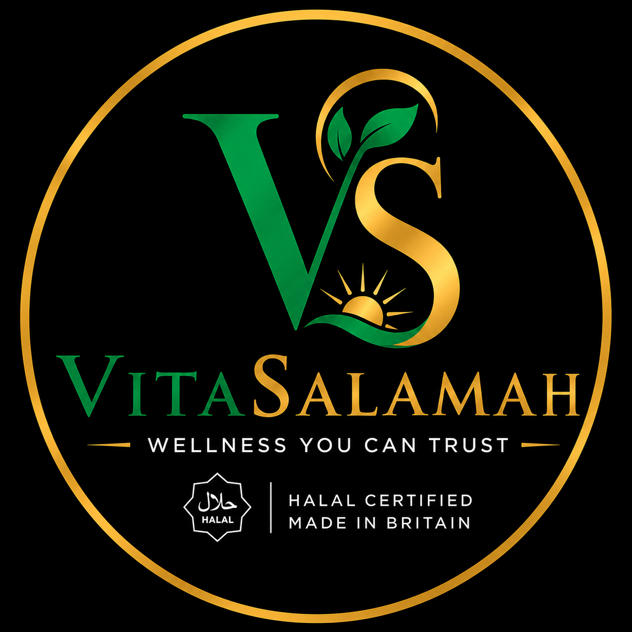 VitaSalamah Vitamin D3, K2 & C – 120 Vegetarian Capsules